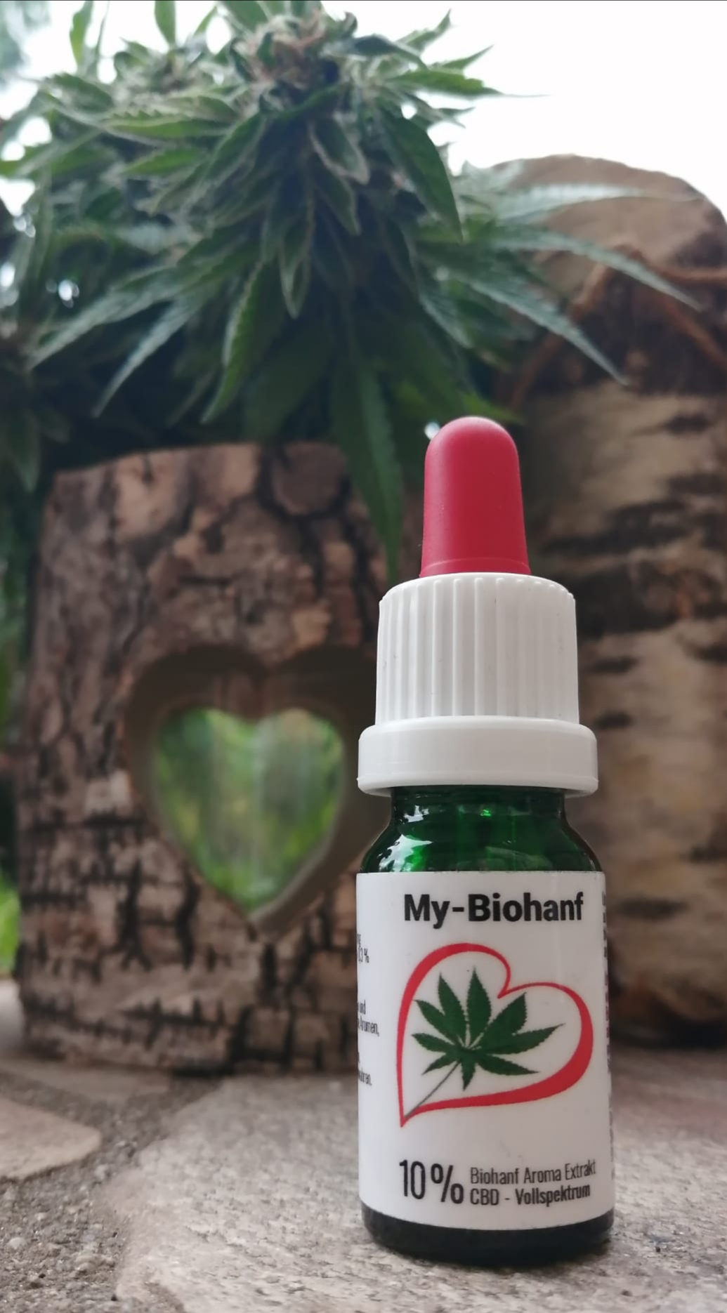 10%                                                                                                                                     CBD Aroma Extrakt 1.000 mg  Vollspektrum 10 ml OHNE ISOLATE
